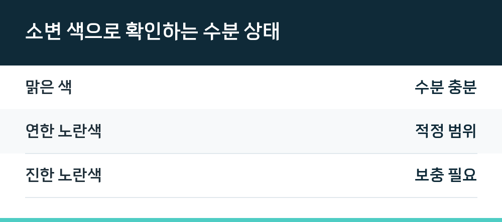 소변 색으로 확인하는 수분 상태
