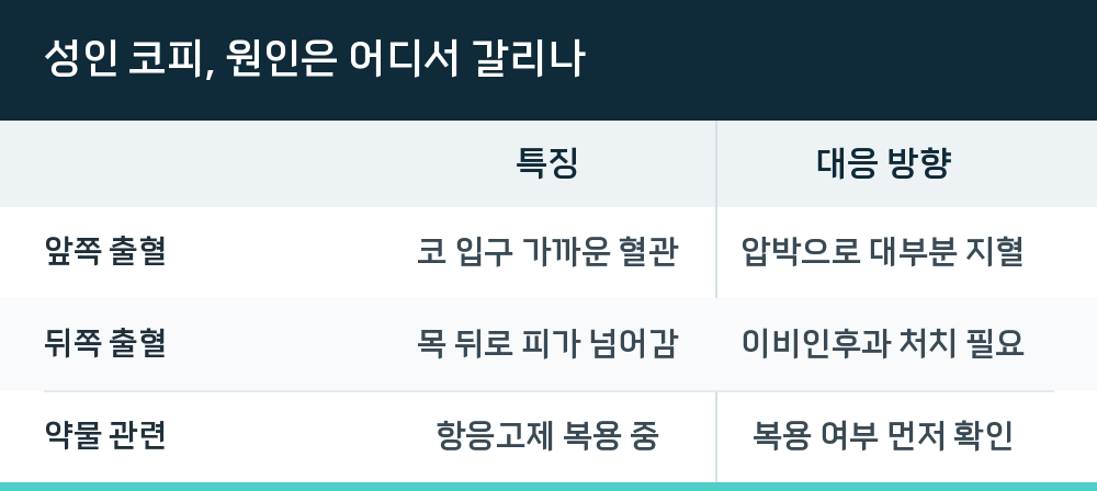 성인 코피, 원인은 어디서 갈리나