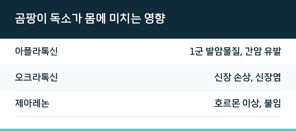 곰팡이 독소가 몸에 미치는 영향