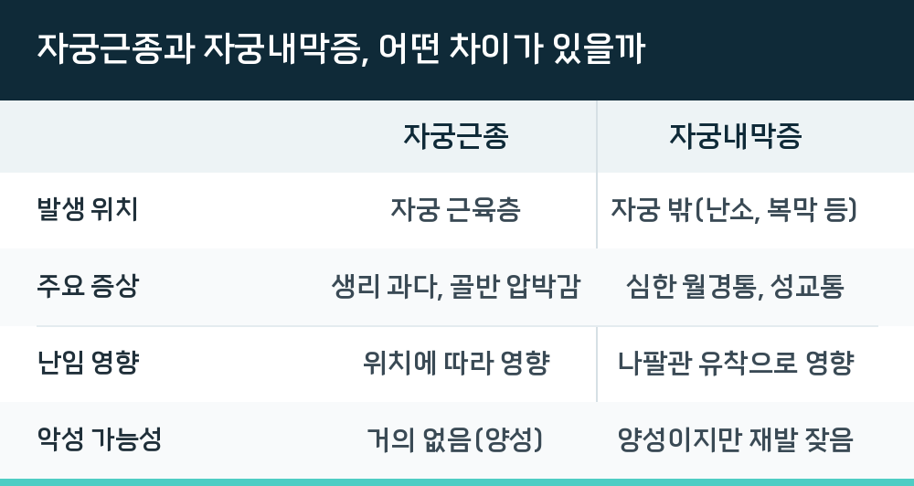 자궁근종과 자궁내막증, 어떤 차이가 있을까