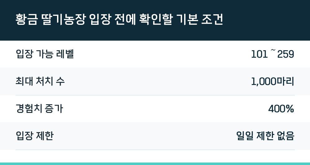 황금 딸기농장 입장 전에 확인할 기본 조건