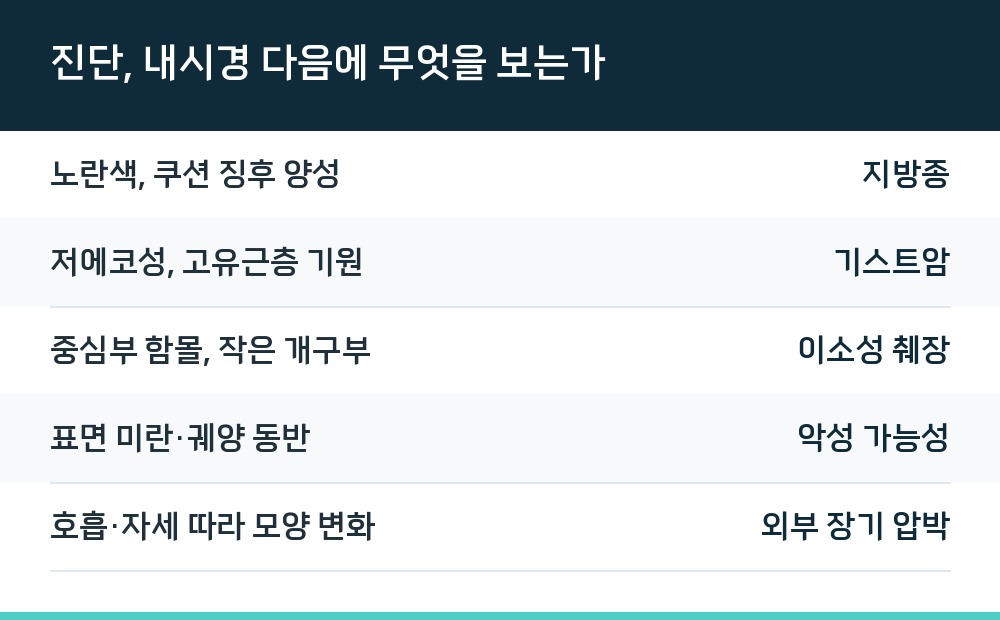 진단, 내시경 다음에 무엇을 보는가