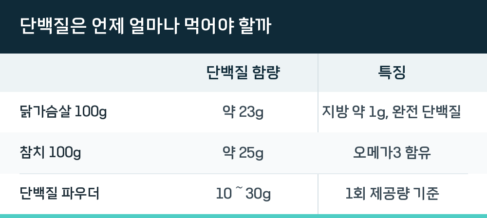 단백질은 언제 얼마나 먹어야 할까