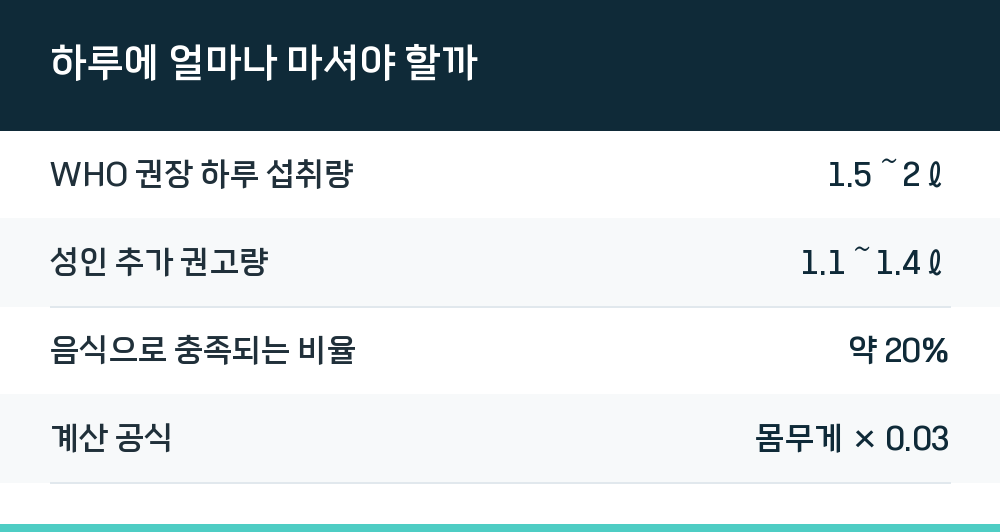 하루에 얼마나 마셔야 할까