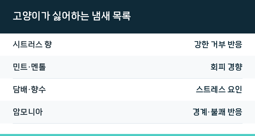 고양이가 싫어하는 냄새 목록