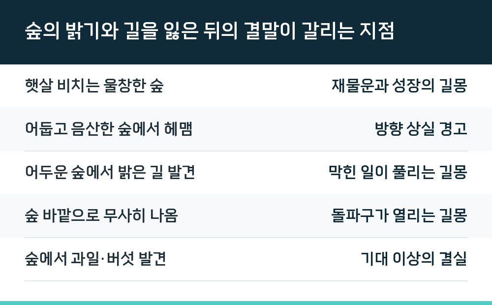 숲의 밝기와 길을 잃은 뒤의 결말이 갈리는 지점