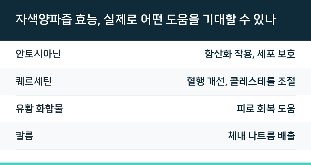 자색양파즙 효능, 실제로 어떤 도움을 기대할 수 있나