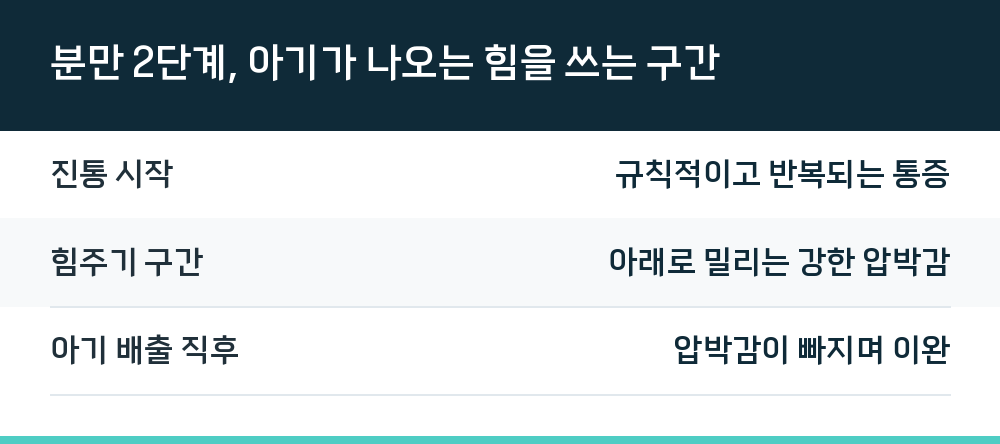 분만 2단계, 아기가 나오는 힘을 쓰는 구간