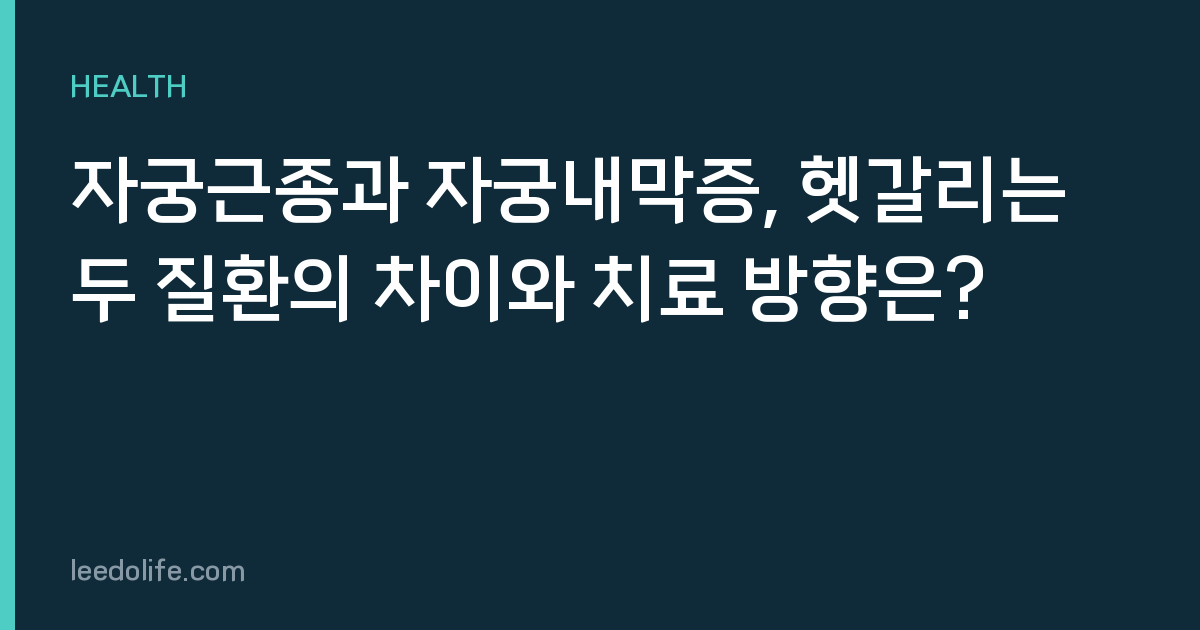 자궁근종과 자궁내막증, 헷갈리는 두 질환의 차이와 치료 방향은?
