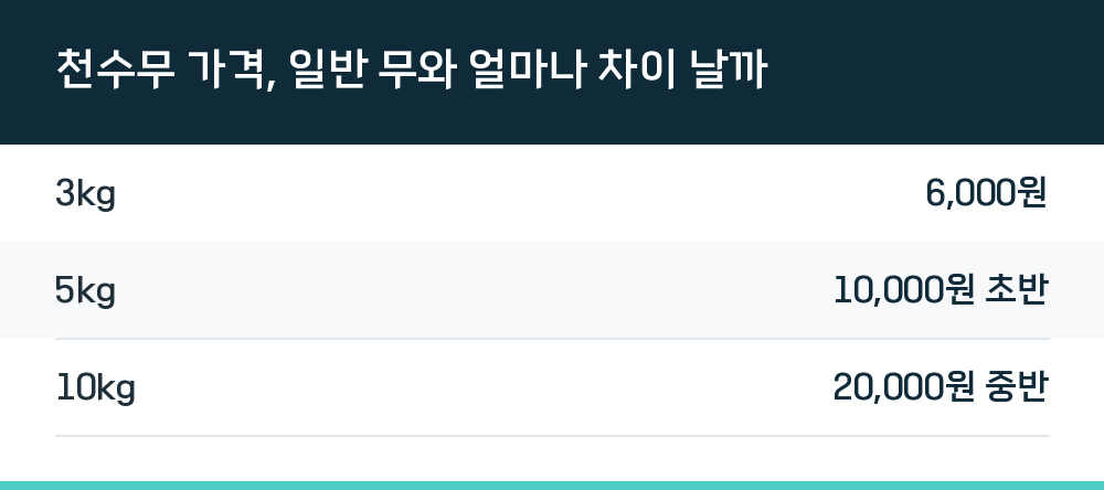 천수무 가격, 일반 무와 얼마나 차이 날까