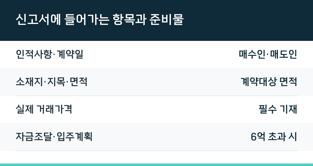 신고서에 들어가는 항목과 준비물