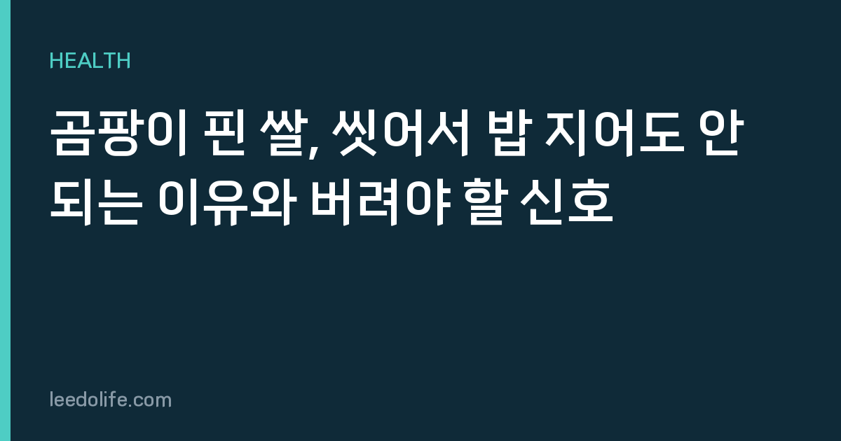곰팡이 핀 쌀, 씻어서 밥 지어도 안 되는 이유와 버려야 할 신호