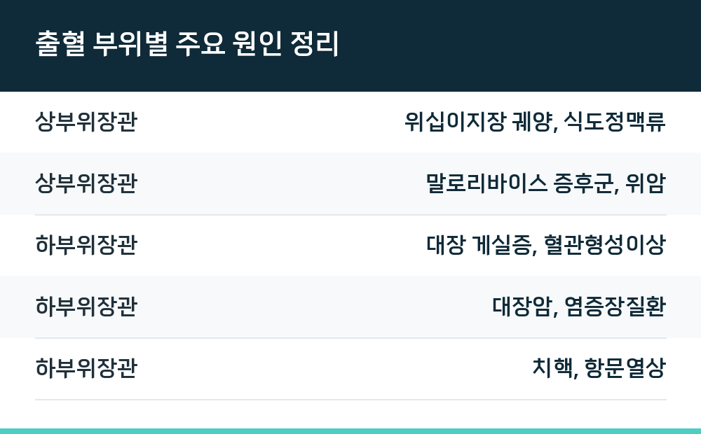 출혈 부위별 주요 원인 정리