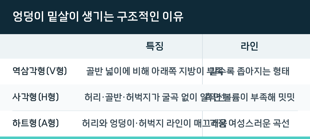 엉덩이 밑살이 생기는 구조적인 이유