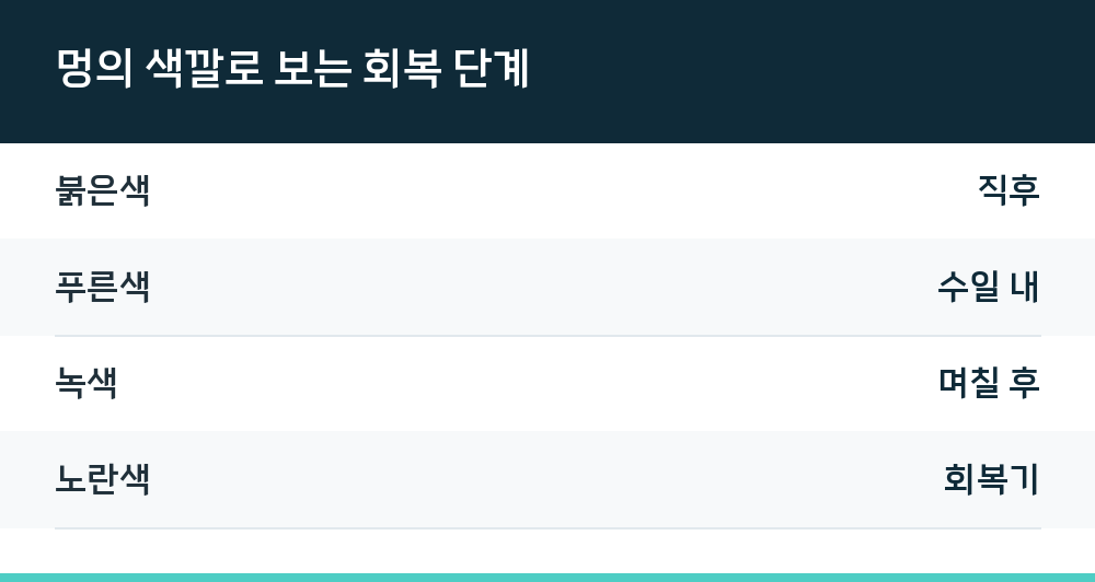 멍의 색깔로 보는 회복 단계
