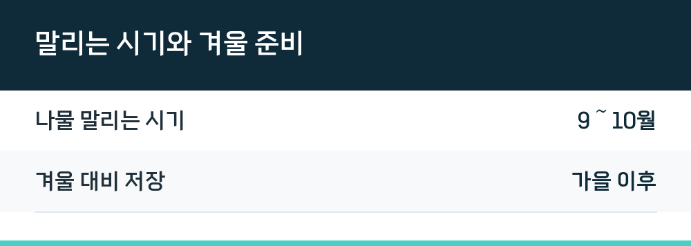 말리는 시기와 겨울 준비