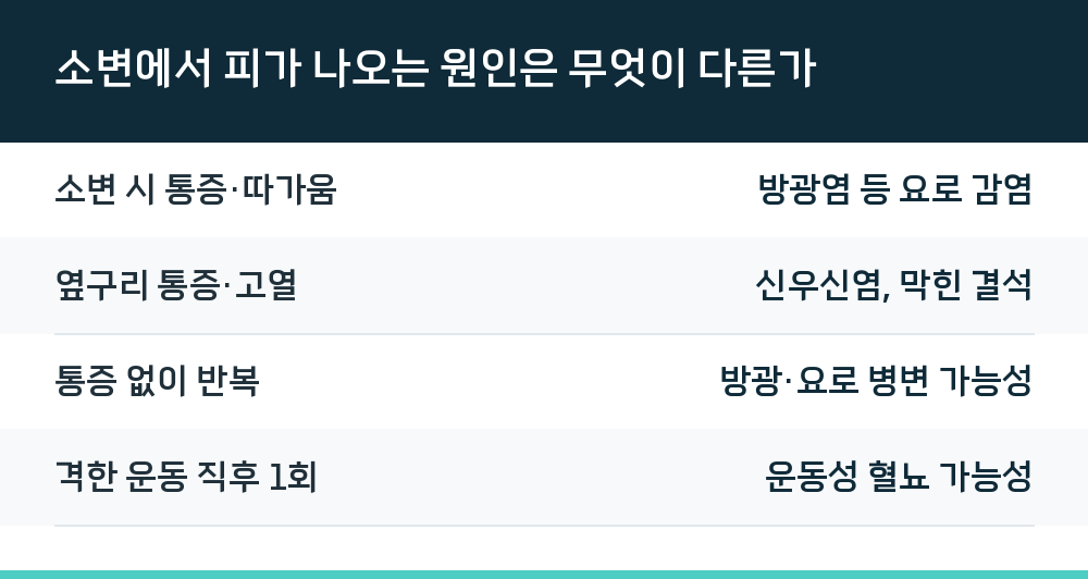 소변에서 피가 나오는 원인은 무엇이 다른가