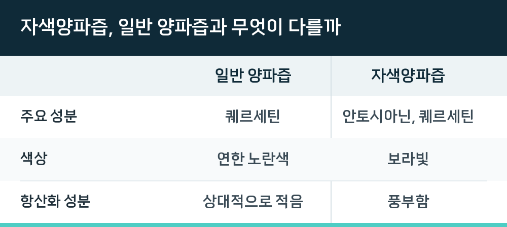 자색양파즙, 일반 양파즙과 무엇이 다를까
