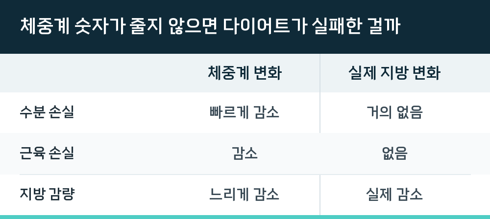 체중계 숫자가 줄지 않으면 다이어트가 실패한 걸까