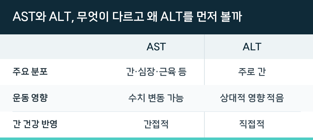 AST와 ALT, 무엇이 다르고 왜 ALT를 먼저 볼까