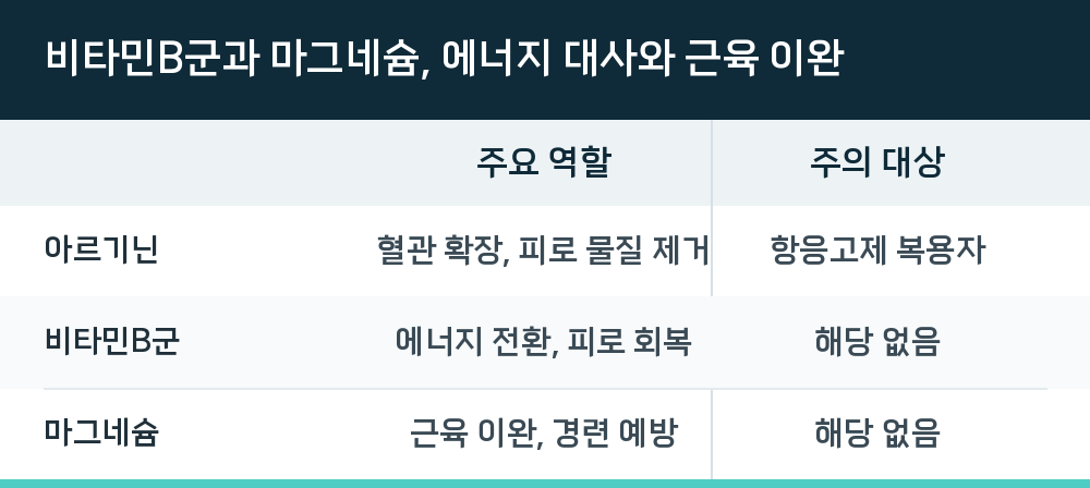 비타민B군과 마그네슘, 에너지 대사와 근육 이완
