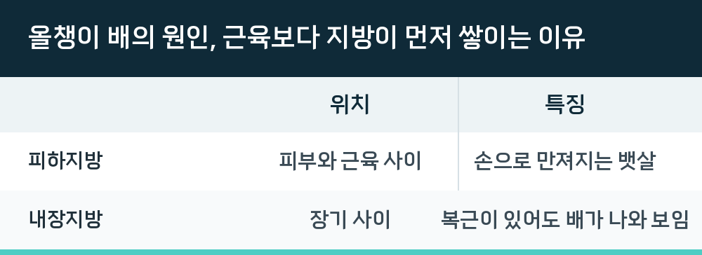 올챙이 배의 원인, 근육보다 지방이 먼저 쌓이는 이유