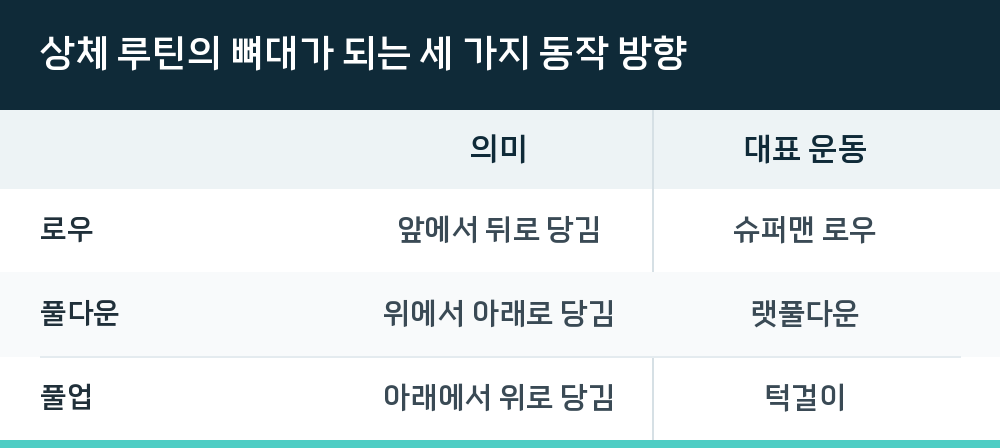 상체 루틴의 뼈대가 되는 세 가지 동작 방향