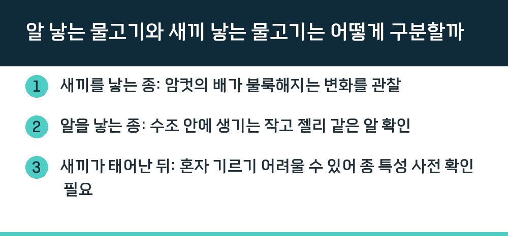 알 낳는 물고기와 새끼 낳는 물고기는 어떻게 구분할까