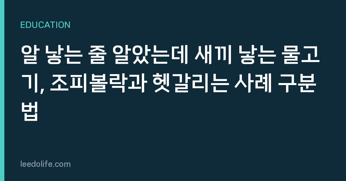 알 낳는 줄 알았는데 새끼 낳는 물고기, 조피볼락과 헷갈리는 사례 구분법
