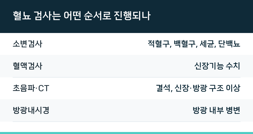 혈뇨 검사는 어떤 순서로 진행되나