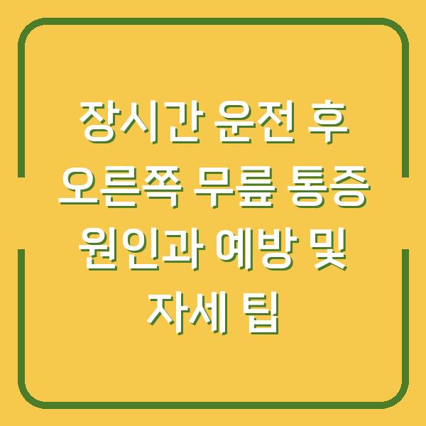 장시간 운전 후 오른쪽 무릎 통증 원인과 예방 및 자세 팁