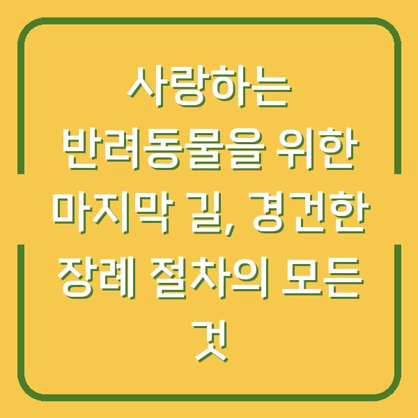 사랑하는 반려동물을 위한 마지막 길, 경건한 장례 절차의 모든 것