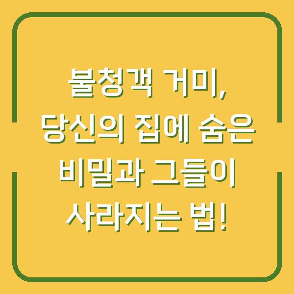 불청객 거미, 당신의 집에 숨은 비밀과 그들이 사라지는 법!