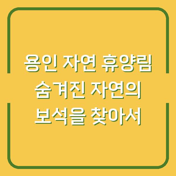용인 자연 휴양림 숨겨진 자연의 보석을 찾아서