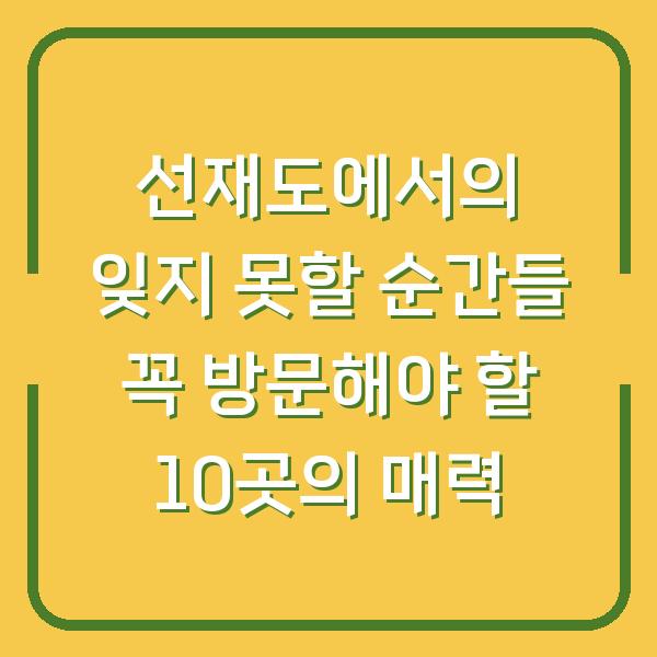 선재도에서의 잊지 못할 순간들 꼭 방문해야 할 10곳의 매력