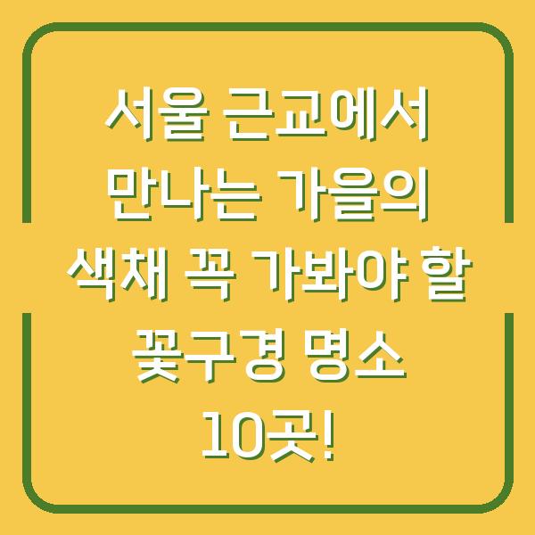 서울 근교에서 만나는 가을의 색채 꼭 가봐야 할 꽃구경 명소 10곳!