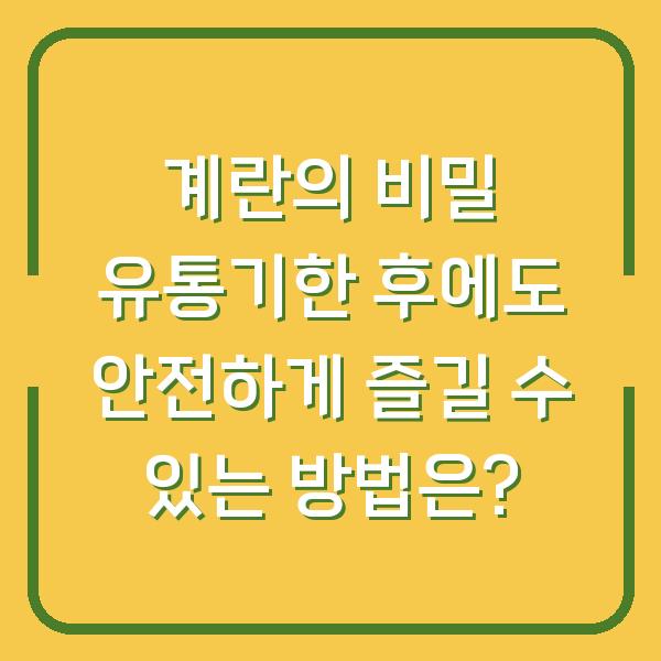 계란의 비밀 유통기한 후에도 안전하게 즐길 수 있는 방법은?