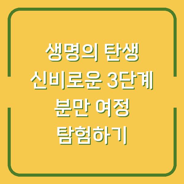 생명의 탄생 신비로운 3단계 분만 여정 탐험하기