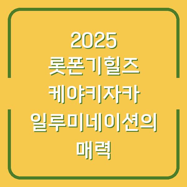 2025 롯폰기힐즈 케야키자카 일루미네이션의 매력