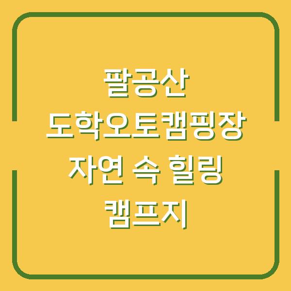 팔공산 도학오토캠핑장 자연 속 힐링 캠프지