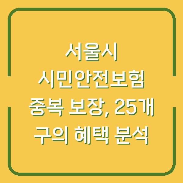 서울시 시민안전보험 중복 보장, 25개 구의 혜택 분석