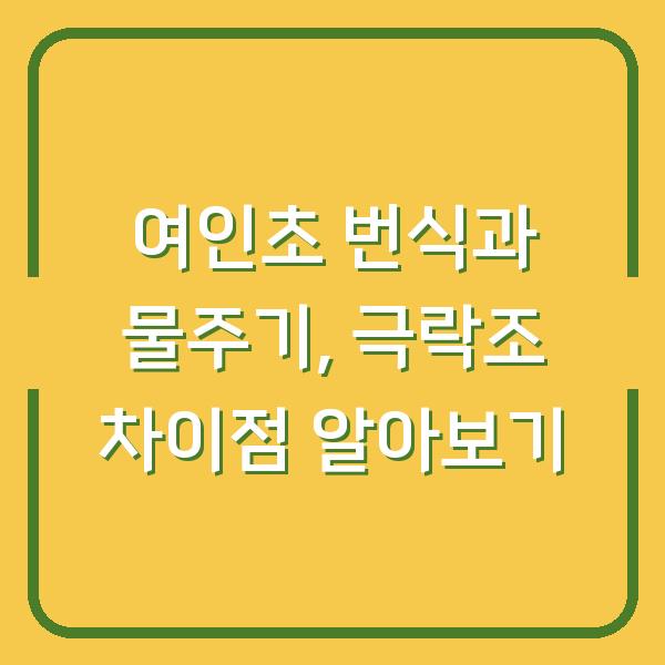 여인초 번식과 물주기, 극락조 차이점 알아보기