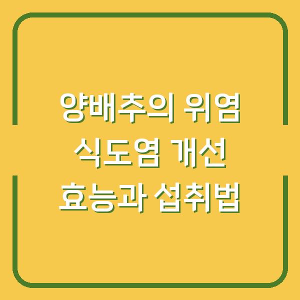 양배추의 위염 식도염 개선 효능과 섭취법