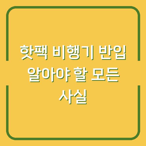 핫팩 비행기 반입 알아야 할 모든 사실