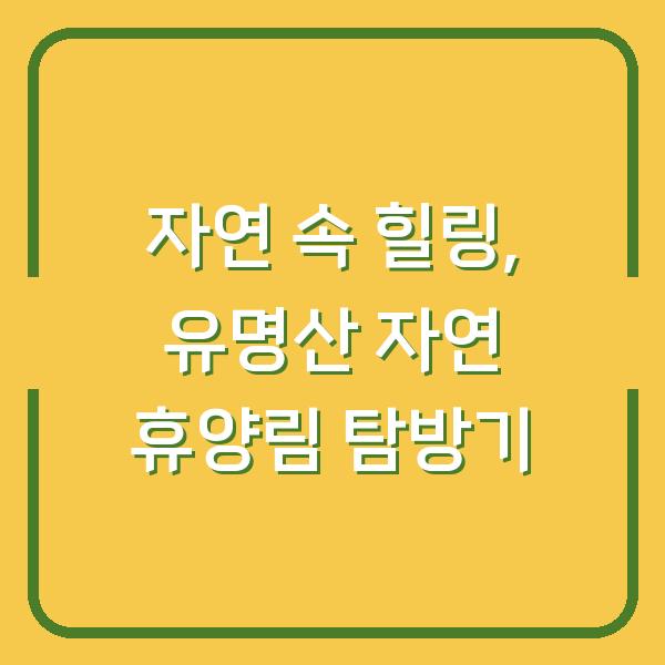 자연 속 힐링, 유명산 자연 휴양림 탐방기