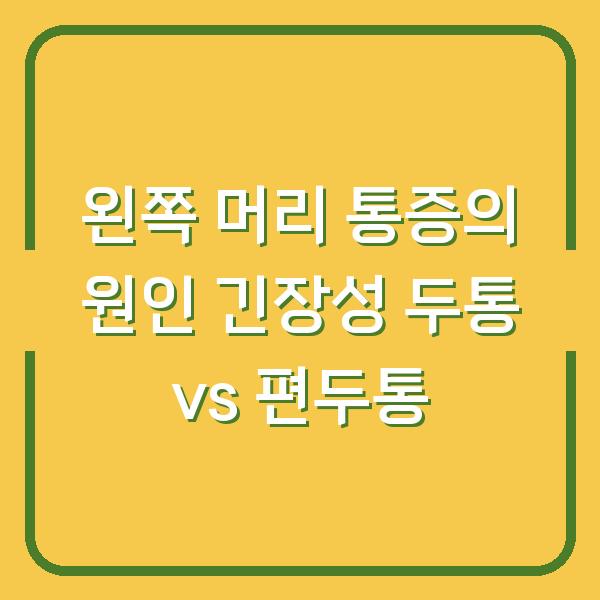 왼쪽 머리 통증의 원인 긴장성 두통 vs 편두통