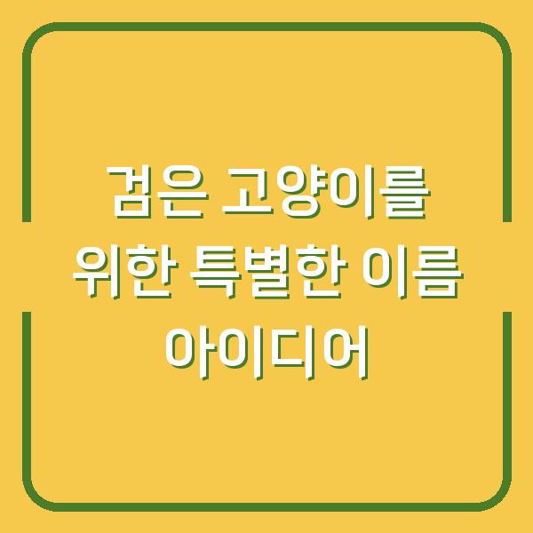 검은 고양이를 위한 특별한 이름 아이디어