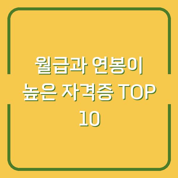 월급과 연봉이 높은 자격증 TOP 10
