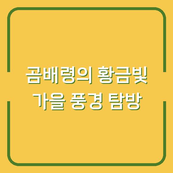 곰배령의 황금빛 가을 풍경 탐방