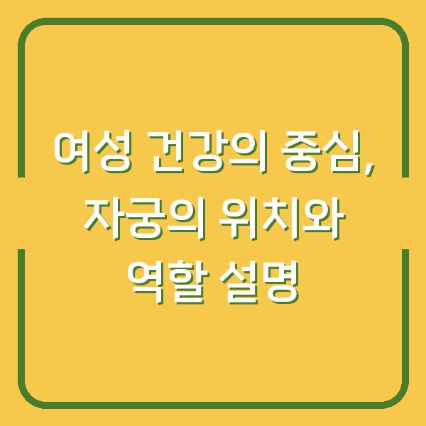 여성 건강의 중심, 자궁의 위치와 역할 설명